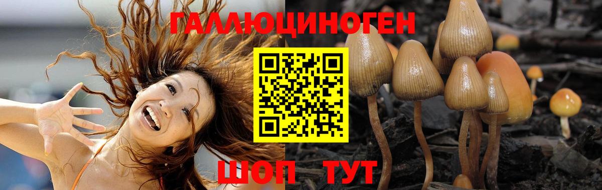 Псилоцибиновые грибы прущие грибы  дарнет шоп  Вход с VPN  Тулун  Галлюциногенные грибы Cubensis 
